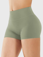 Fitstyle Elysina 2.5" Laufshorts