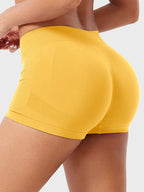 Fitstyle Myina 2.5" Low-Rise Shorts
