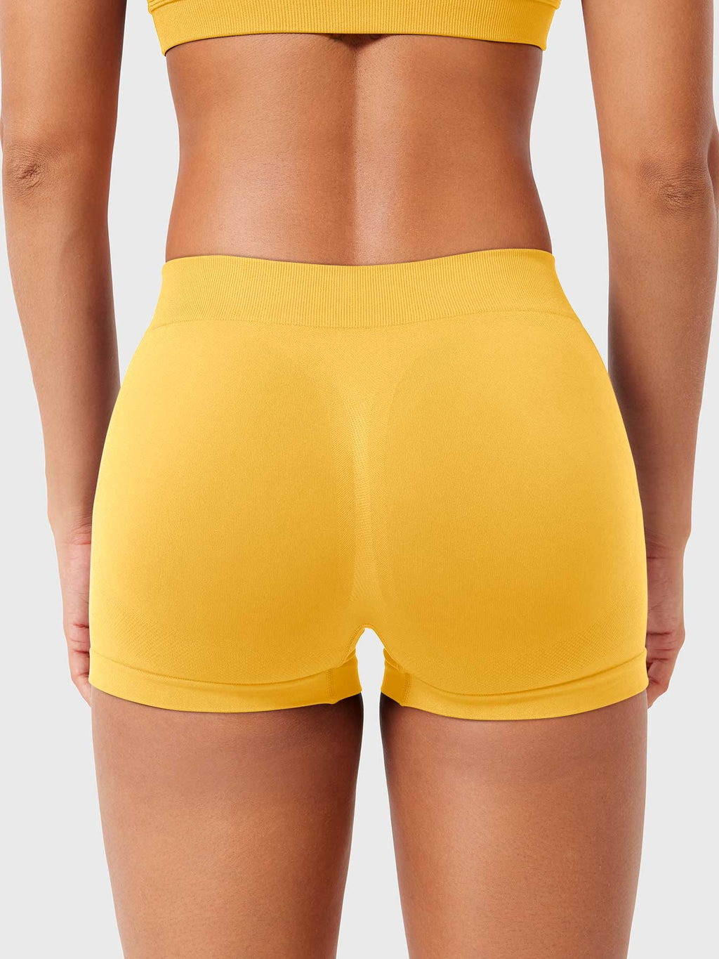 Fitstyle Myina 2.5" Low-Rise Shorts
